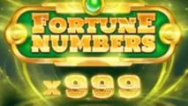 Fortune Numbers